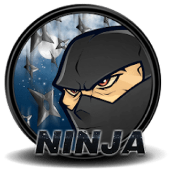 Ninja Run 3D